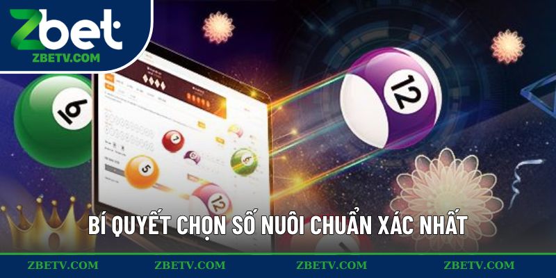 Bí quyết chọn số nuôi chuẩn xác nhất