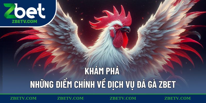 Khám phá những điểm chính về dịch vụ đá gà ZBET