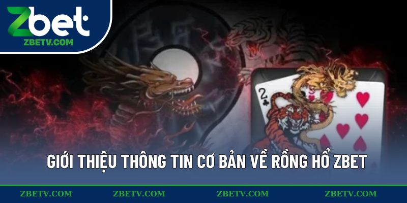 Giới thiệu thông tin cơ bản về Rồng Hổ ZBET