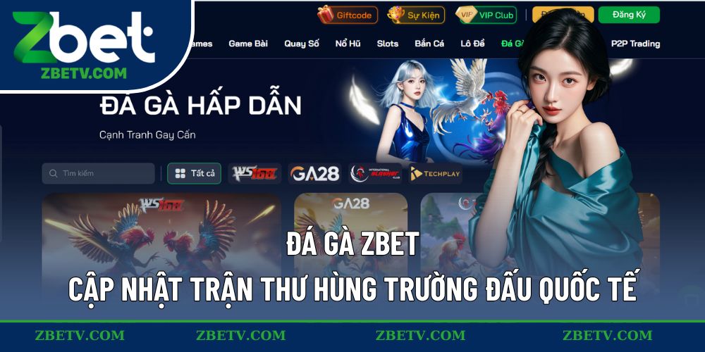 Đá gà Zbet cập nhật trận thư hùng trường đấu quốc tế