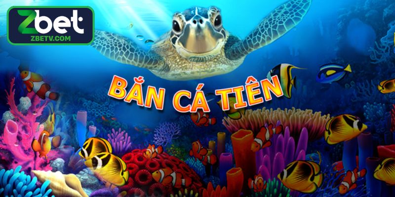 Mẹo chơi săn cá giúp tối ưu tiền thưởng